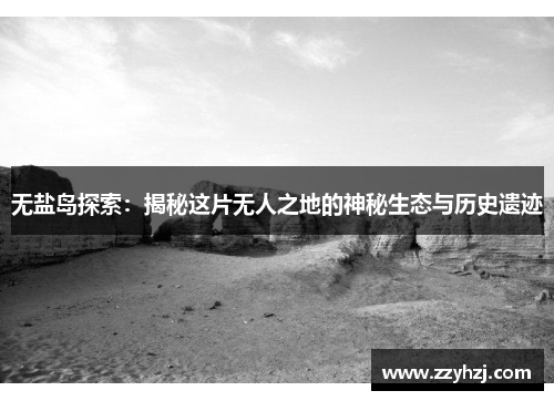 无盐岛探索：揭秘这片无人之地的神秘生态与历史遗迹
